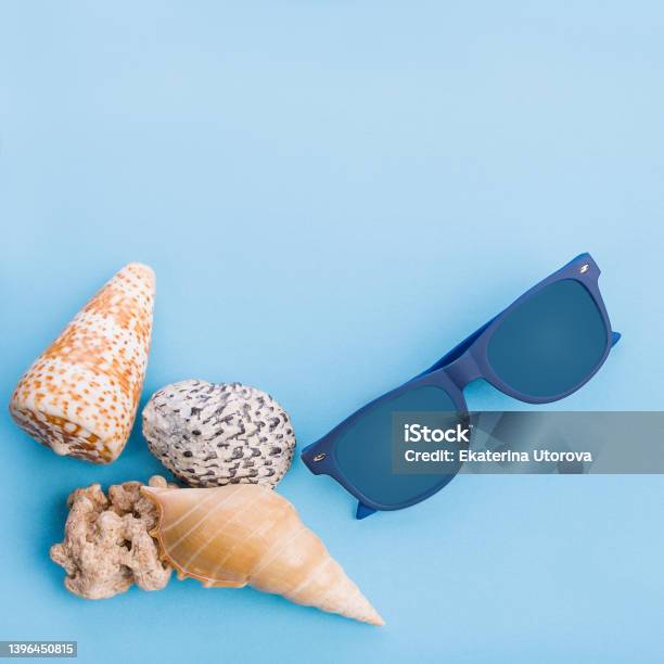 Flat Lay Of Shells And Hat On A Blue Background Stock Photo - Download Image Now - Sand, Beach, Knolling - Concept