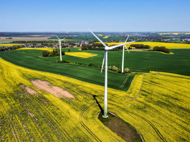 Wind turbine in a blooming rapeseed field from above Wind turbine in a blooming rapeseed field from above raw landscape stock pictures, royalty-free photos & images