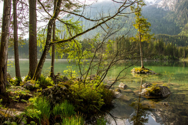 istock sunset of Hintersee lake 1396452486