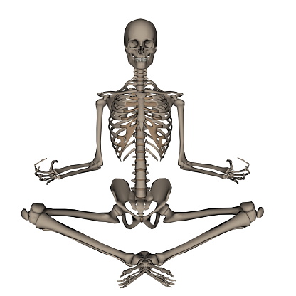 Frontview of human skeleton meditation isolated in white background - 3D render
