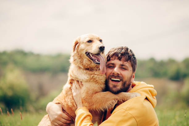 guy et son chien, golden retriever, nature - retriever golden retriever dog happiness photos et images de collection