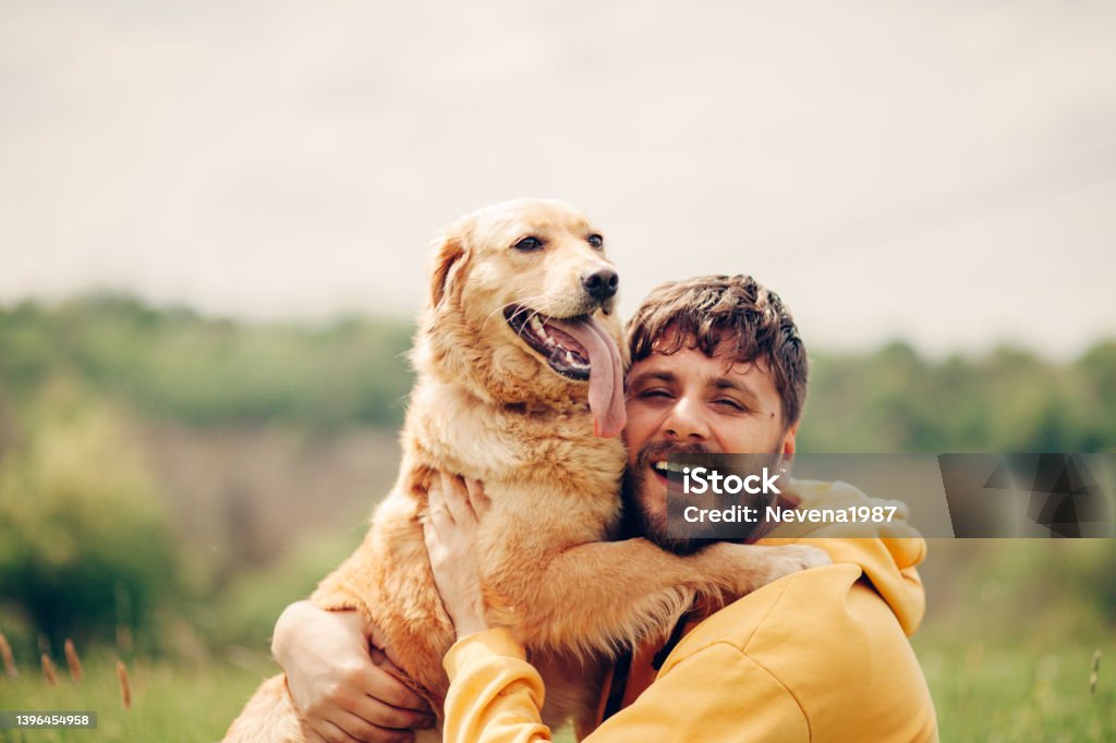 Guy and his dog, golden retriever, nature Serbia, Dog, Men, Pets, Stroking Men Stock Photo