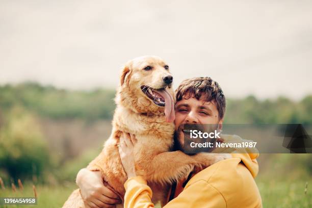Guy And His Dog Golden Retriever Nature Stock Photo - Download Image Now - Men, People, Owner