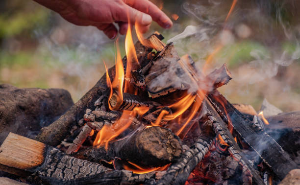 istock Firewood fire on the bank of a mountain spring river 1396454991