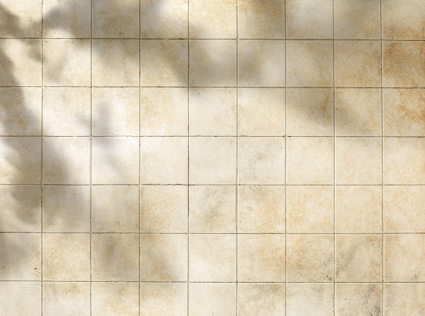 istock Leaves shadow on grunge tile background for wall texture 1396456515