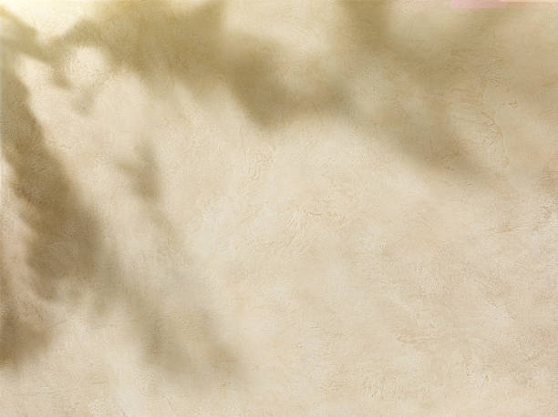 istock Branch shade with sunlight on pastel concrete wall texture 1396456553