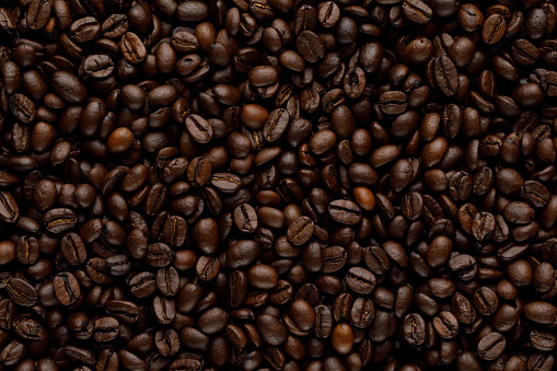 Coffee grains seamless pattern. Abstract beans background texture