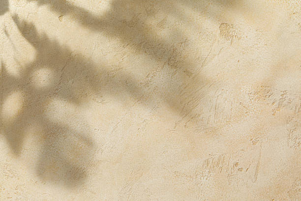 istock Tropical leaves shade on sand plaster background 1396456733