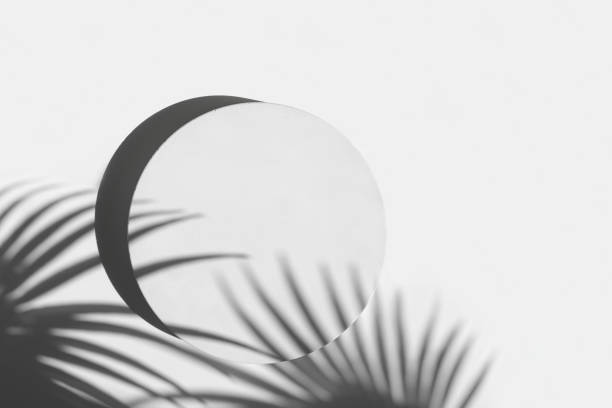 Podium for cosmetic product presentation. Abstract minimal geometrical Cylinder. Stone sphere one form, palm leaf shadow. Scene to show. Showcase, display case. Trendy sunlight. Flat lay, Top View. 3D