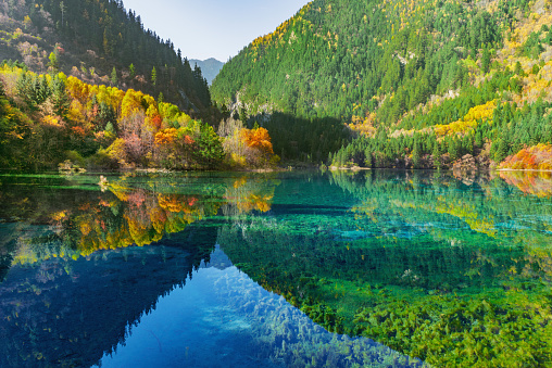 Five Flower Lake at autumn time. Jiuzhaigou nature reserve. Jiuzhai Valley National Park. China.