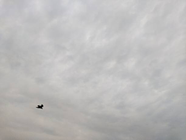istock Grayish Monsoon clouds visible in the rainy sky 1396458235