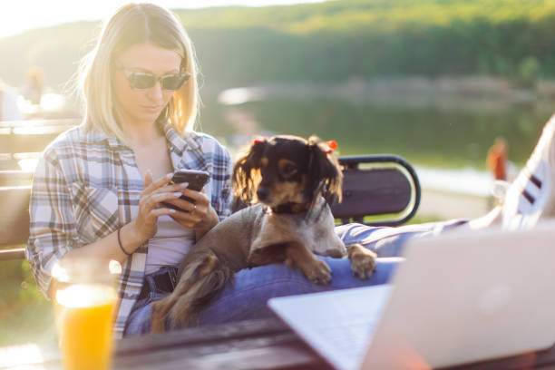 Beautiful young woman is enjoying with her dog in park by the lake. Girl is sitting on bench and typing messages on her mobile phone while her dog is relaxing on her lap. She is relaxed and smiling on sunny day.