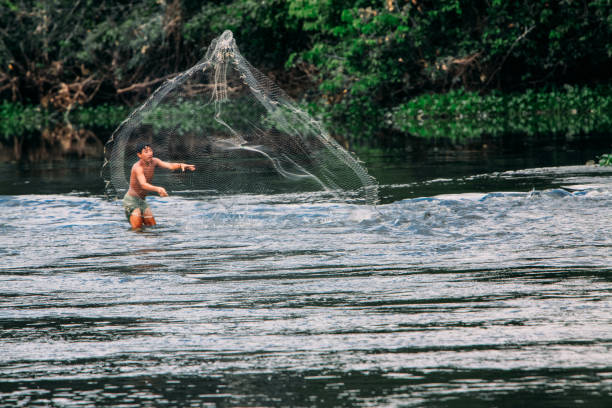 pêcheur jetant le filet de pêche au fleuve amazone. - rainforest brazil amazon river amazon rainforest photos et images de collection