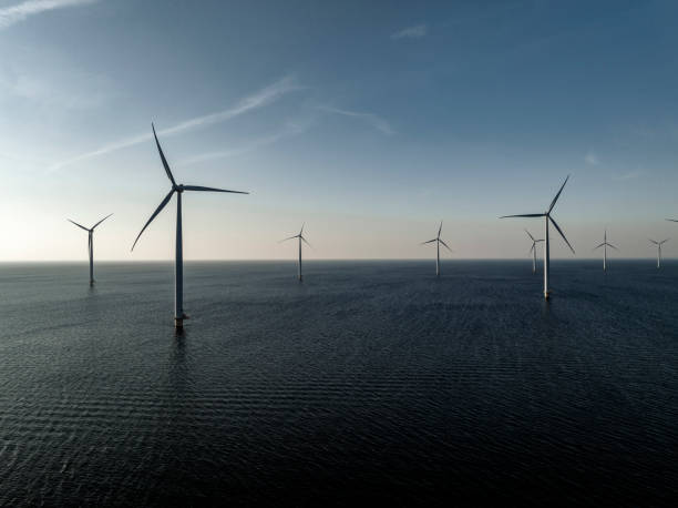 turbiny wiatrowe w morskim parku wiatrowym produkujące energię elektryczną - noordoostpolder zdjęcia i obrazy z banku zdjęć
