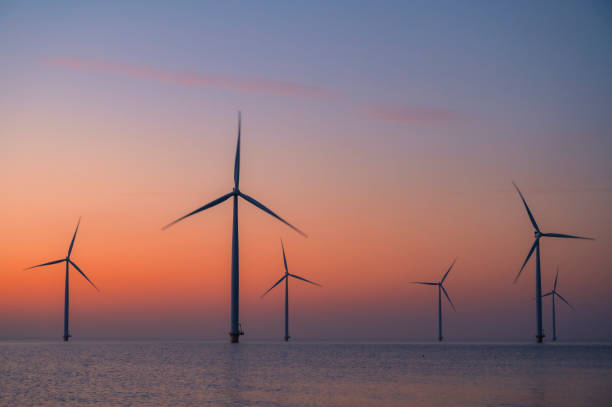 istock Wind turbines in an offshore wind park producing electricity during sunset. 1396460480
