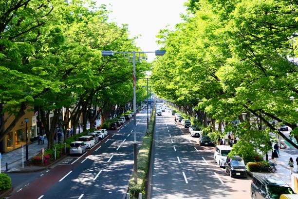 istock Omotesando in fresh green 1396461515
