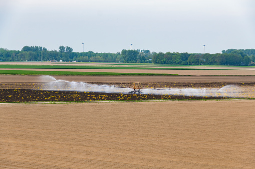 Irrigation machine spraying water on a field during a dry and warm spring day in Flevoland, Netherlands. Over the last years there have been longer periods of draught causing problems for farmers cultivating crops.