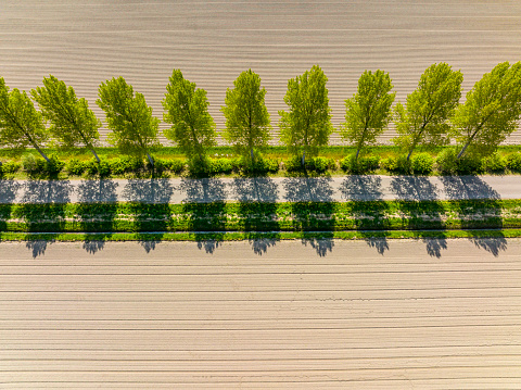 Road in a rural landscape in the Noordoospolder in Flevoland, The Netherlands seen from above during a beautiful springtime day. The Noordoostpolder is a polder in the former Zuiderzee designed initially to create more