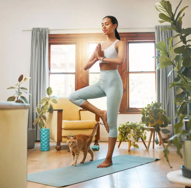 Shot of a sporty young woman practising yoga at home with her pet cat Shot of a sporty young woman practising yoga at home with her pet cat