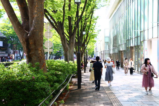 参道 - omotesando hills ストックフォトと画像