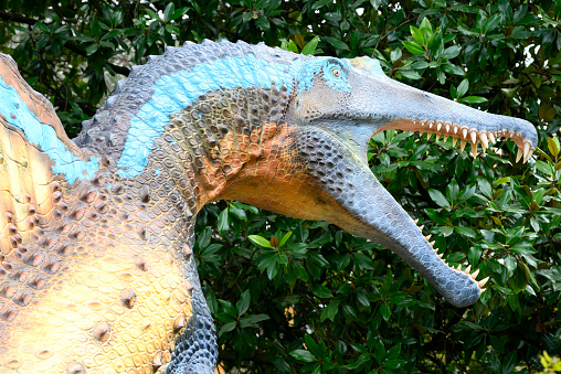 Detail of reconstruction of Spinosaurus in outdoor exhibition