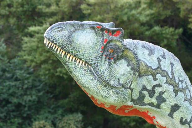 istock Reconstruction of Feathered Tyrannosaurs 1396467449