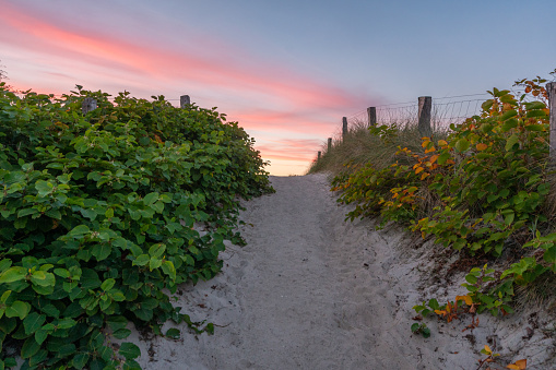 A colorful sunset on the beach with a sand path through some bushes.