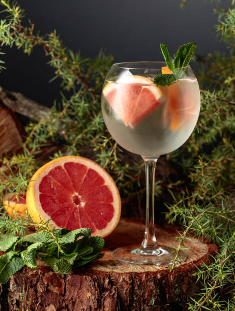 istock Gin and Tonic cocktail with grapefruit. 1396470566