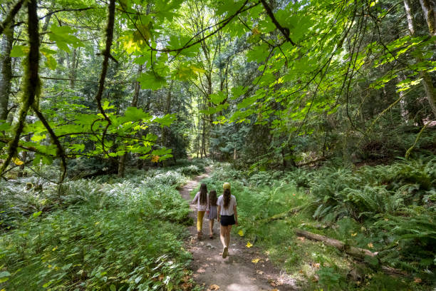 istock Family bonding in nature 1396472079