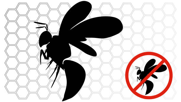 wespe oder biene auf wabenhintergrund. rotes verbotszeichen insektenbekämpfung wespe oder hornissen - faltenwespe stock-grafiken, -clipart, -cartoons und -symbole