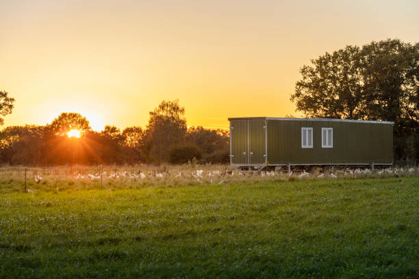 istock mobile chicken coop in the sunset 1396472236
