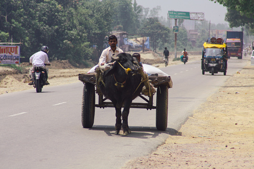 Bangalore, India - 05 28 2011: Bullock cart and passengers on rural roads in India.