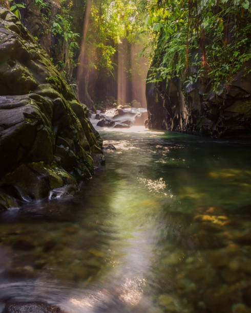 istock morning view on a sunny day in a beautiful tropical forest river 1396480158