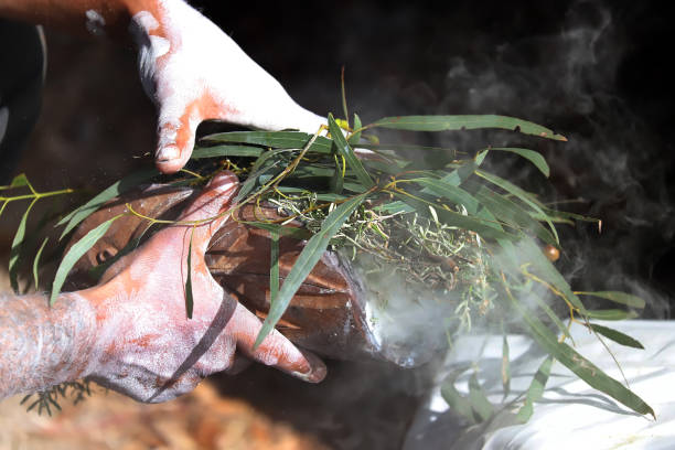 cerimonia aborigena australiana, mano dell'uomo con rami di eucalipto verde e fumo, accendere un fuoco per un rito rituale in un evento comunitario ad adelaide, south australia - ceremony foto e immagini stock
