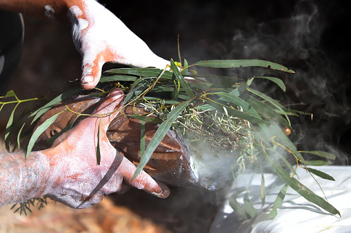 Australian Aboriginal Ceremony, man hand with green eucalyptus branches and smoke, start a fire for a ritual rite at a community event in Adelaide, South Australia