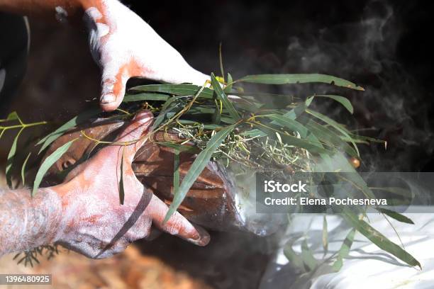 Australian Aboriginal Ceremony Man Hand With Green Eucalyptus Branches And Smoke Start A Fire For A Ritual Rite At A Community Event In Adelaide South Australia Stock Photo - Download Image Now