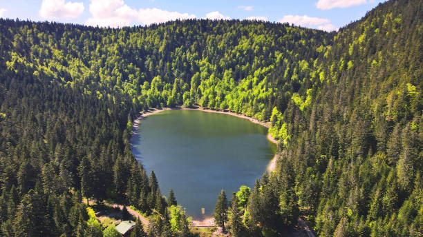 aerial photography from "lac des corbeaux" in the heart of vosges mountains in france - belfort imagens e fotografias de stock