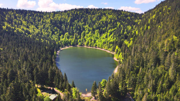 аэрофотосъемка из озера корбо в самом сердце гор вогезы во франции - belfort стоковые фото и изображения