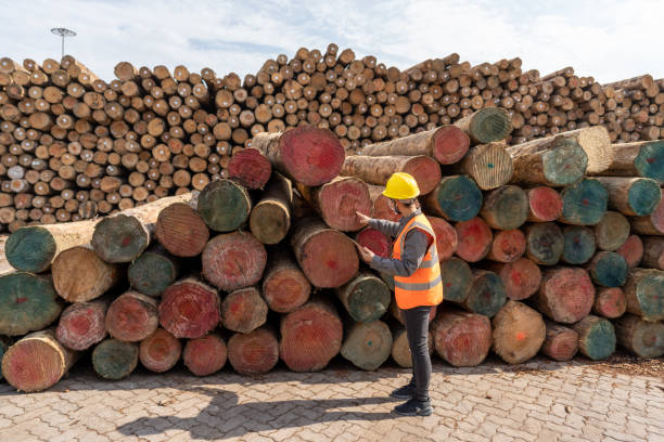 istock A female worker counts materials in the wood storage area 1396490922