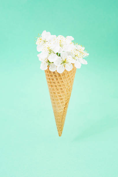 istock Ice cream waffle cone, filled with spring apple flowers 1396492059