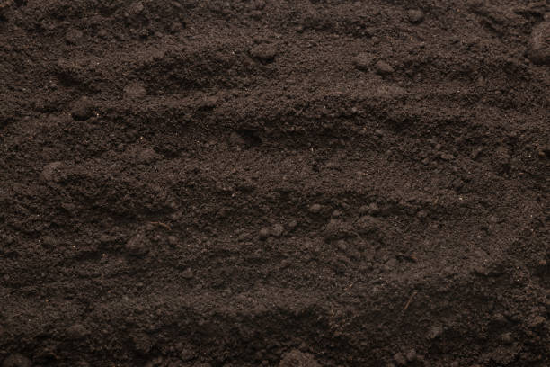 istock Black land for plant background. Top view. 1396493513
