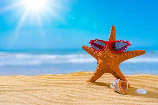 Summer vacations background: starfish with sunglasses on sandy beach. Conch shells complete the composition. The composition is at the right of an horizontal frame leaving useful copy space for text and/or logo at the left.