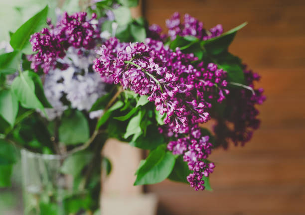 istock Fresh lilac bouquet in springtime. 1396498490