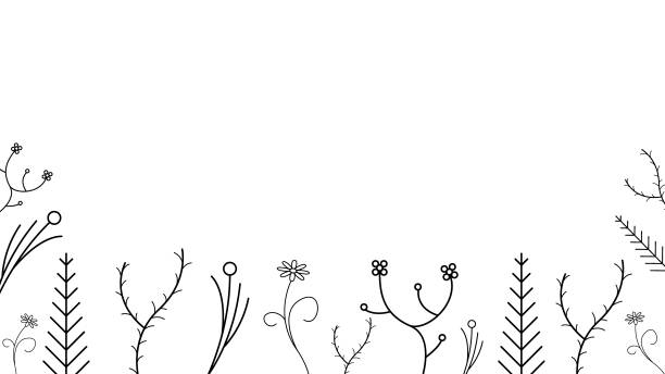 illustrations, cliparts, dessins animés et icônes de abstract doodle background nature summer elements hand drawn collection botanique herbal flora leaf branch vine flower plant elements vector desgin style - cute decoration invitation vine