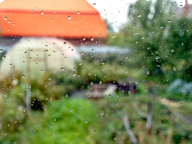 istock raindrops on the window pane in autumn 1396501375
