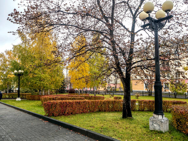 istock bright multicolored trees in the autumn park 1396501406