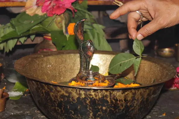 Photo of Hindu Devotees offering milk And Water to Shiv Lingam on occasion of Abhishekam in India . Offering Flower and bael leafs