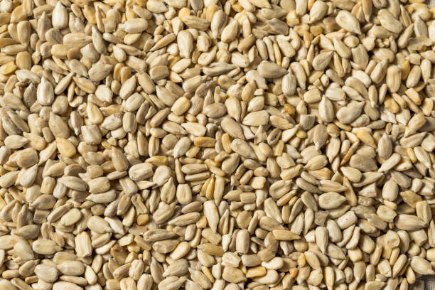 istock Raw Dry Organic Sunflower Seed Kernels 1396504230