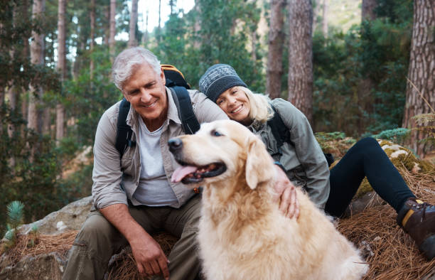 shot of a senior couple out hiking with their dog - senior adult mountain hiking recreational pursuit imagens e fotografias de stock