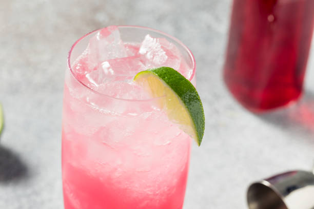 istock Boozy Cold Gin Hibiscus Highball Cocktail 1396504641